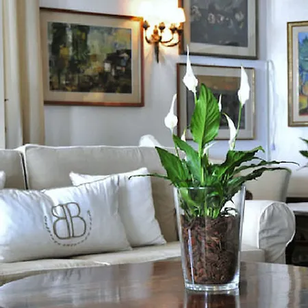 Byron Bellavista فندق 4*